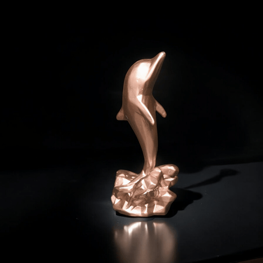 Dolphin - Car dashboard.