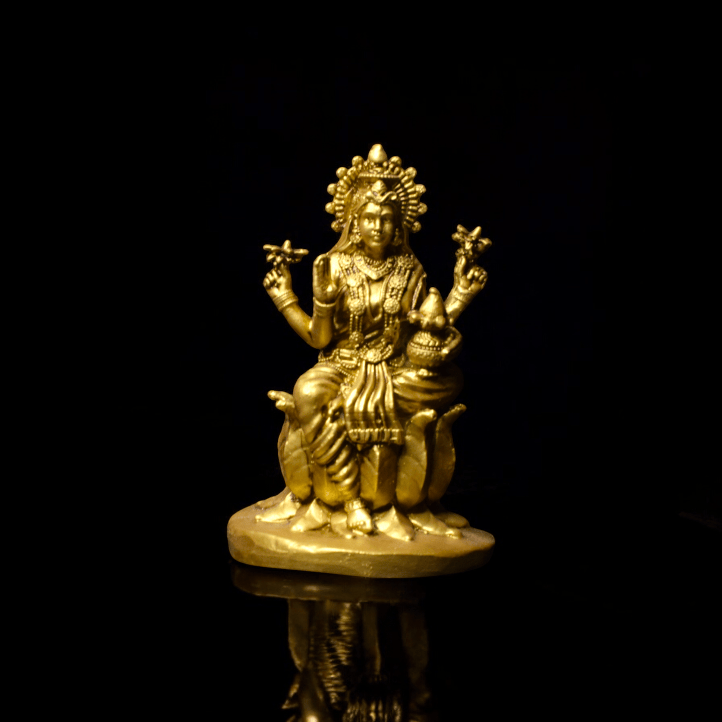 Laxmi ji on Lotus - Car dashboard.