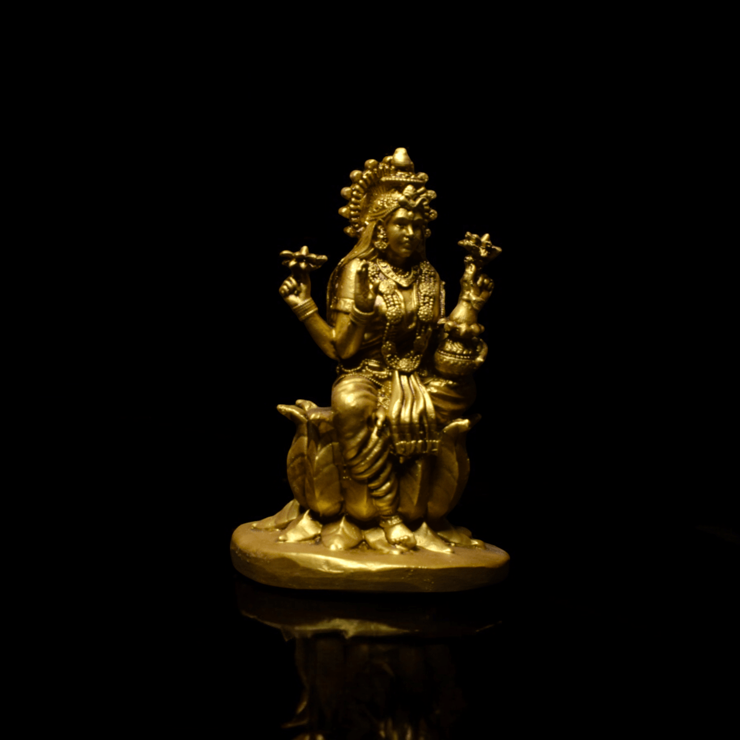 Laxmi ji on Lotus - Car dashboard.
