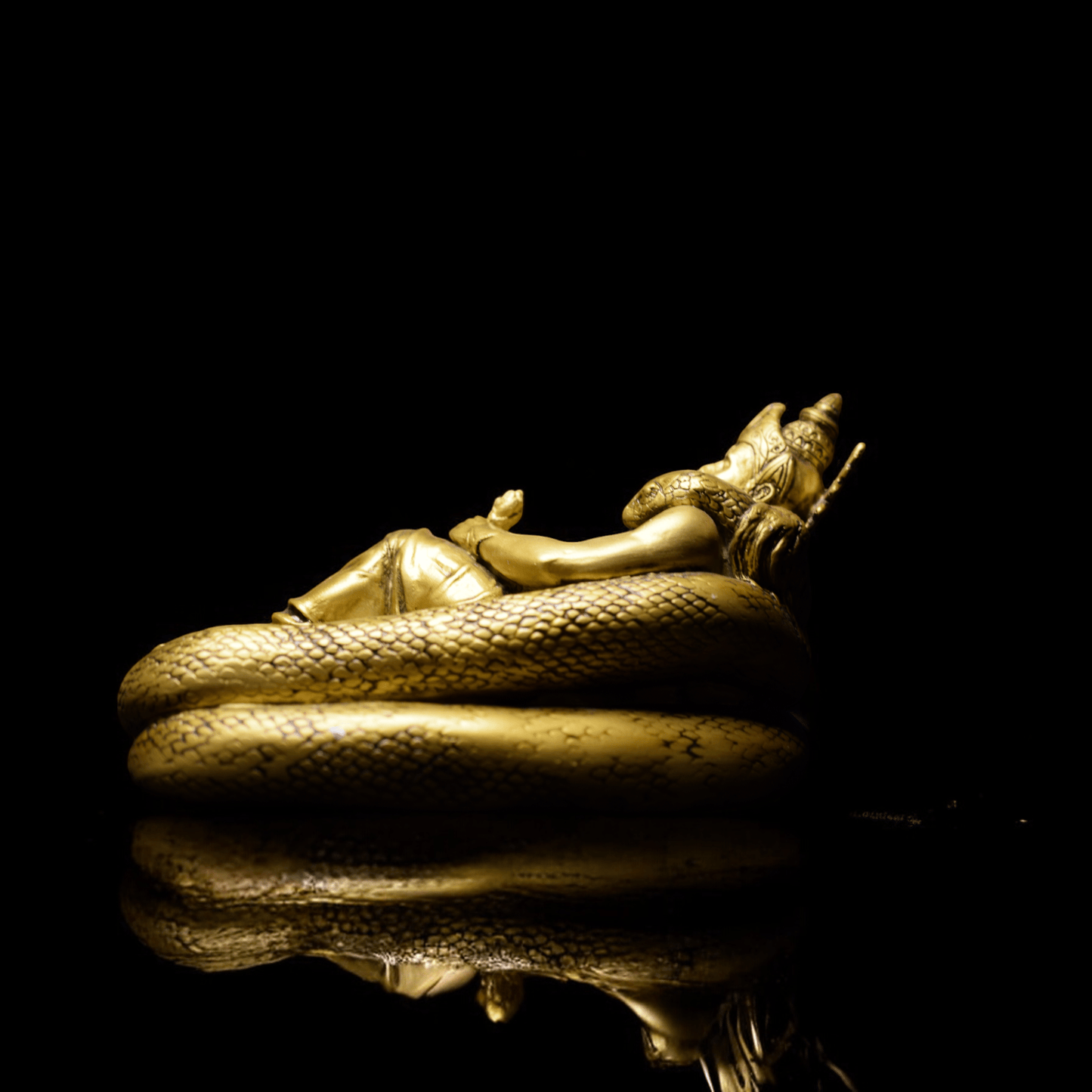 Vishnu Ji -Ananatseeshnaag Sayia.