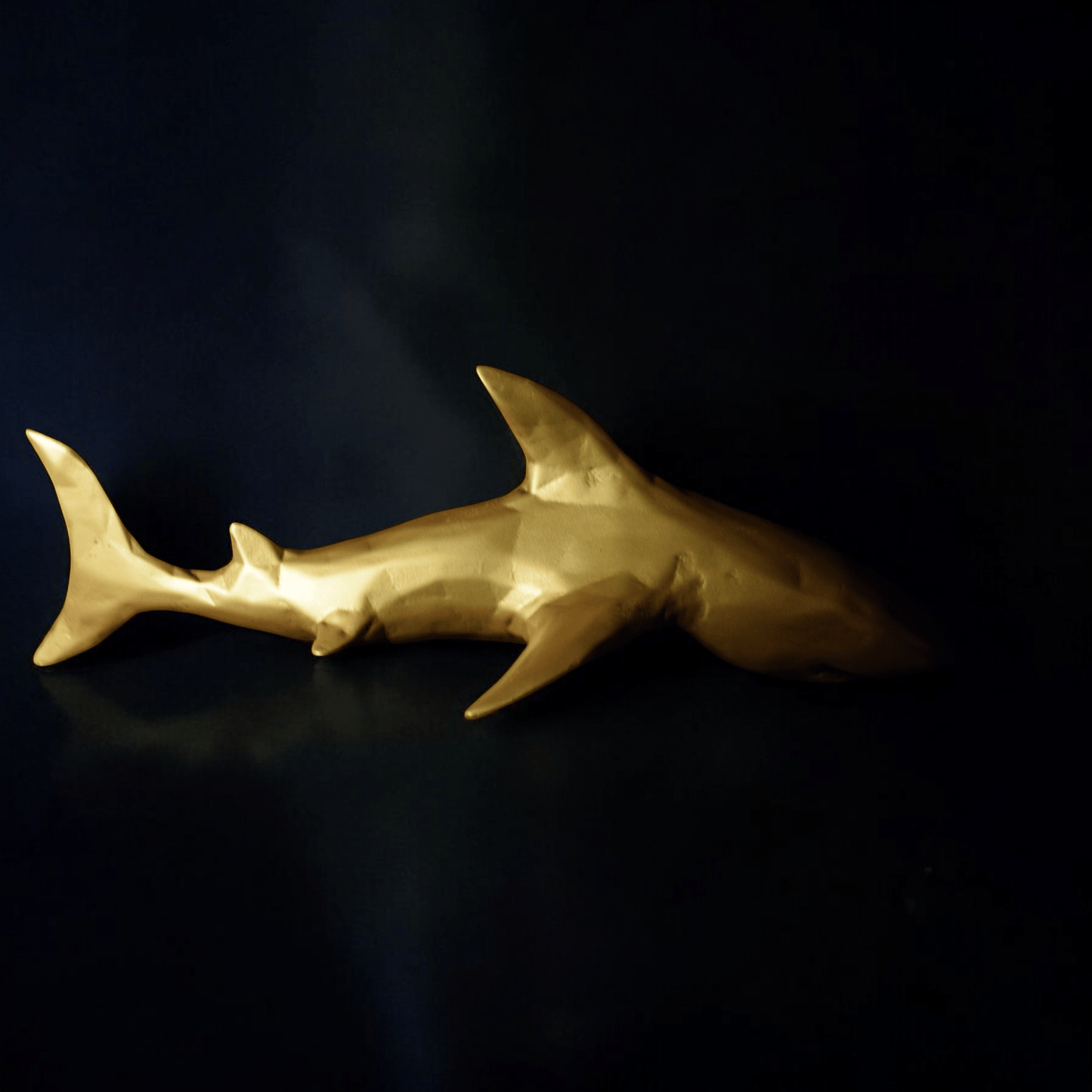 Office Decor Shark - Give your Startup a Shark Energy,Lock your target.