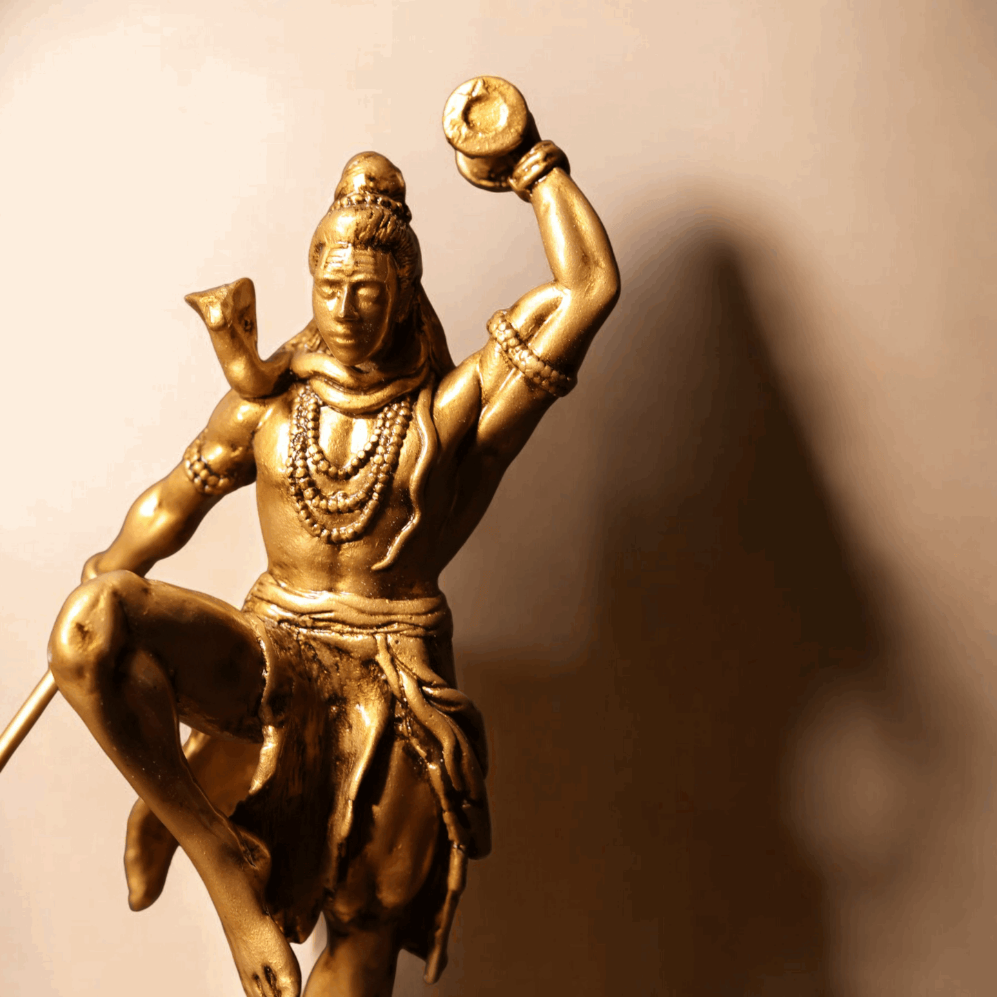 Shiv Ji Nirtya - Divine Dance.