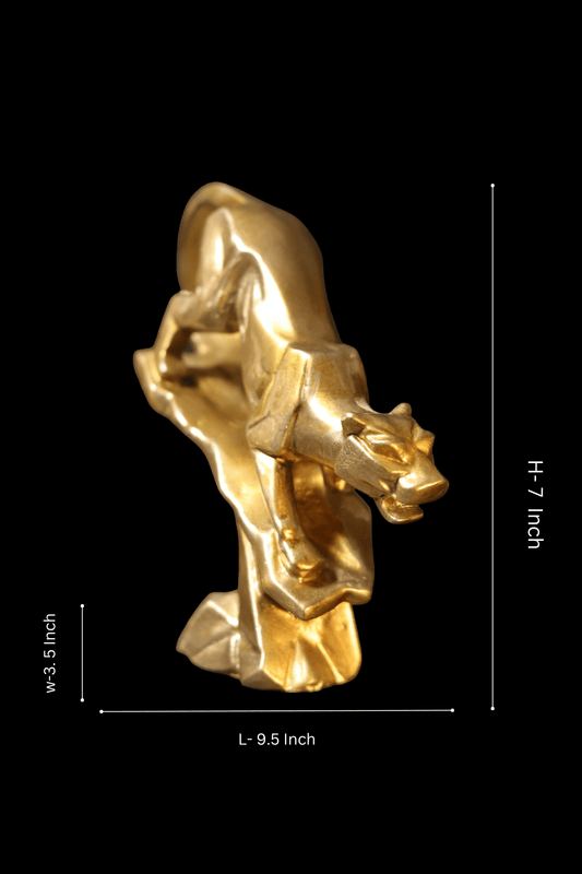 Panther on Rock Climbing Down.