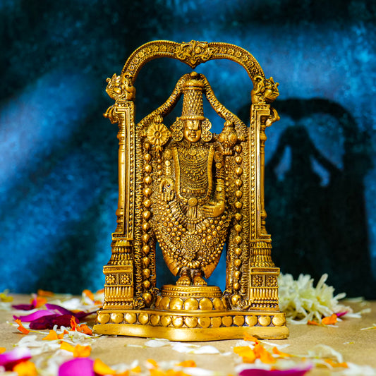 Tirupati Bala ji Big(10 Inches) for Mandir