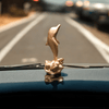 Dolphin - Car dashboard.