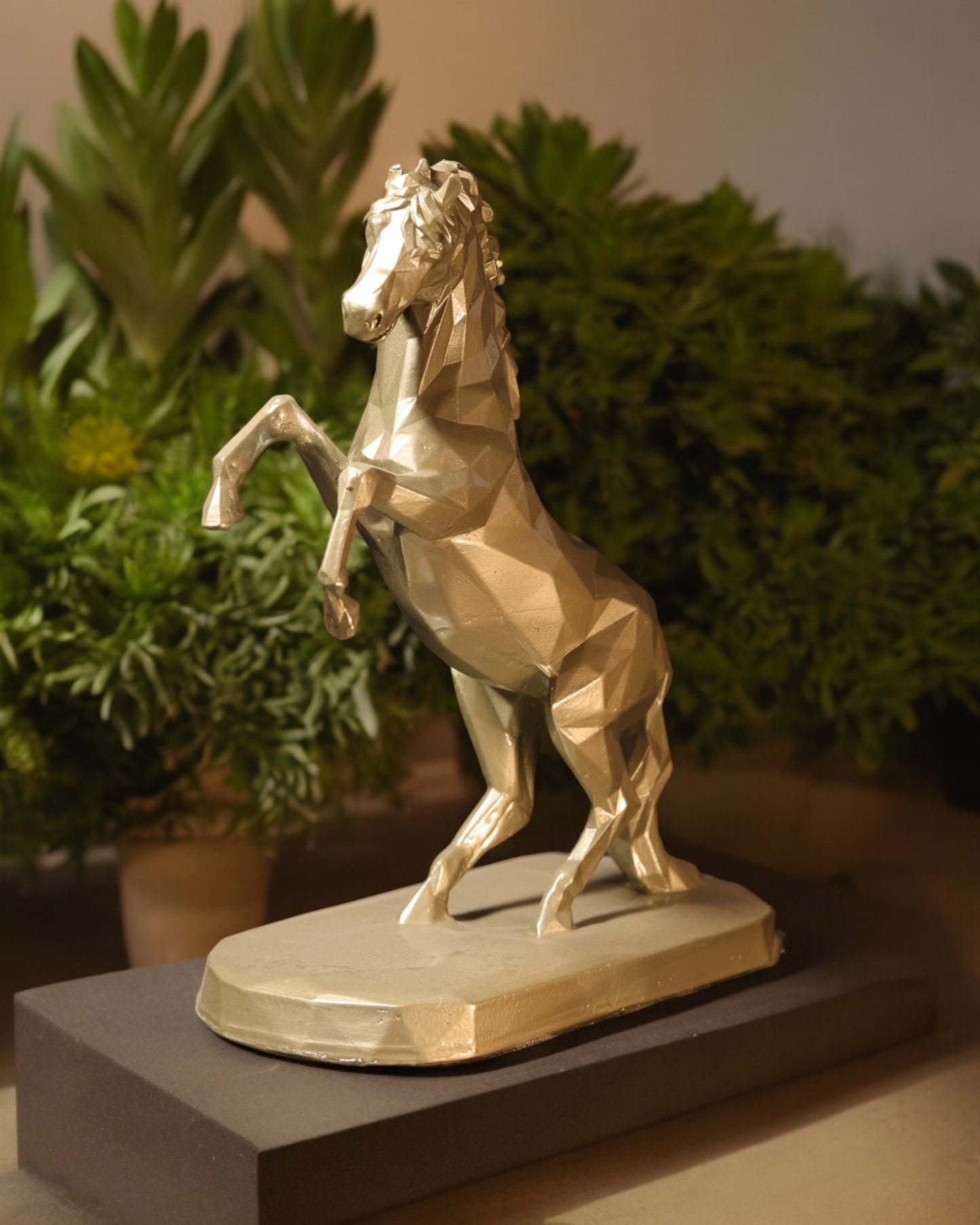 Horse Standing on two feets -Big.