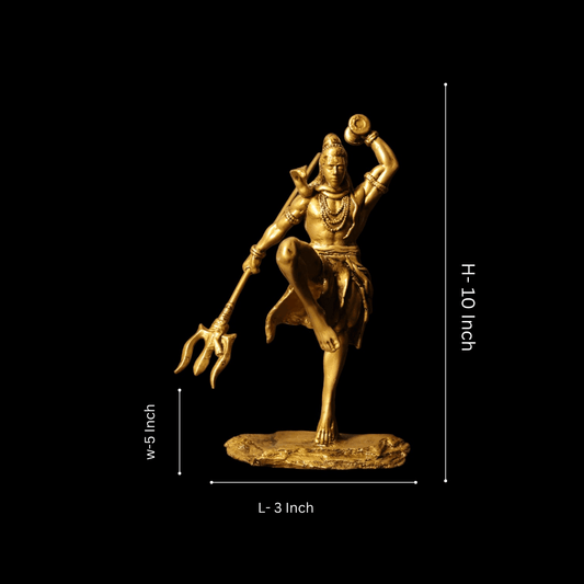 Shiv Ji Nirtya - Divine Dance.