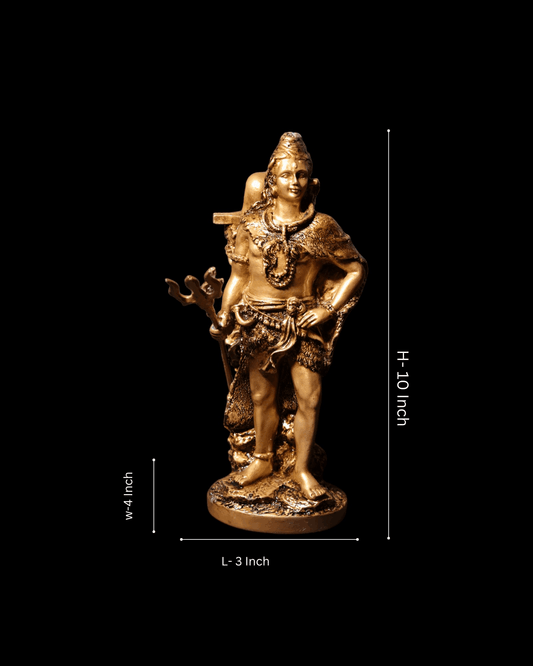 Shiv Ji with Shivling Murti - Divine Harmony.